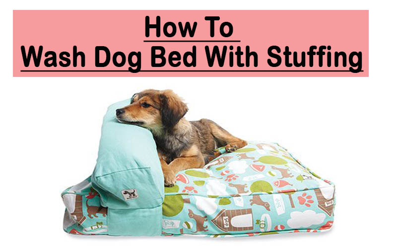 9 Steps How To Wash Dog Bed With Stuffing For Better Hygiene Pets Dog