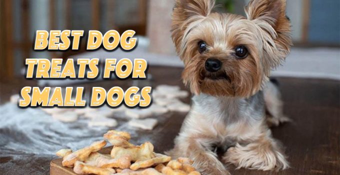 3 Best Dog Treats For Small Dogs Pets Dog World