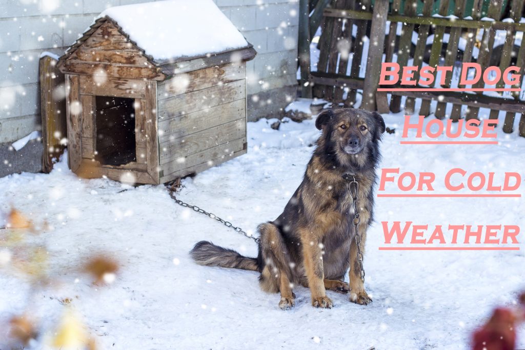 7-best-dog-house-for-cold-weather-pets-dog-world