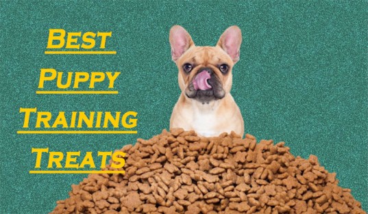 What Treats To Use When Training A Puppy