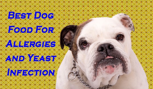 3 Best Dog Food For Allergies and Yeast Infections | Pets Dog World